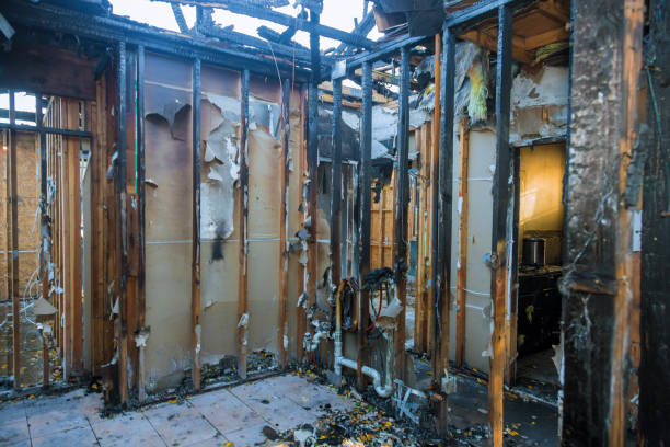 Professional Odor Removal technician working in Hartford, AL